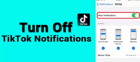 How to Turn Off TikTok Notifications on Android?